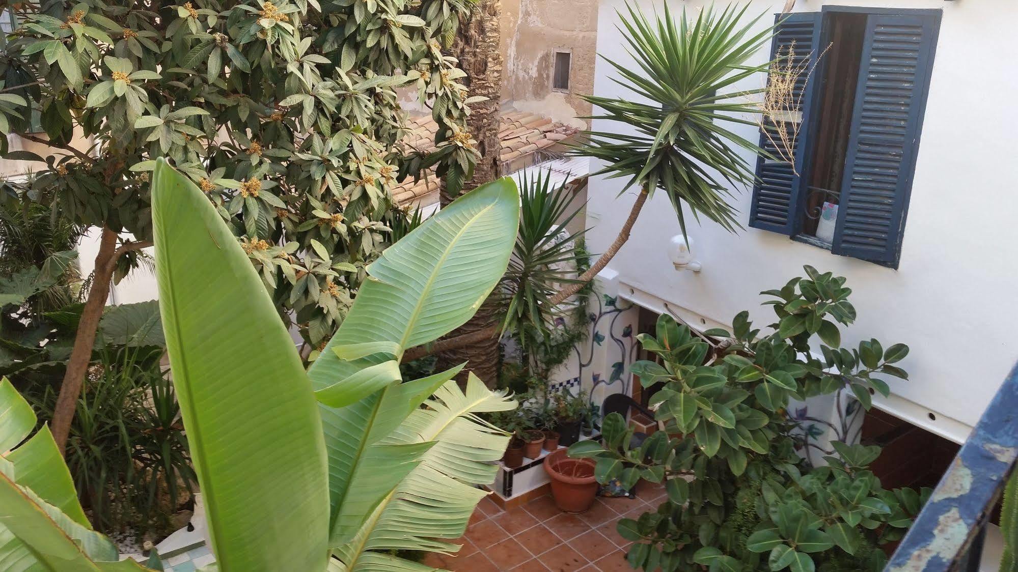 Hostal Pons Palma de Mallorca Exterior photo